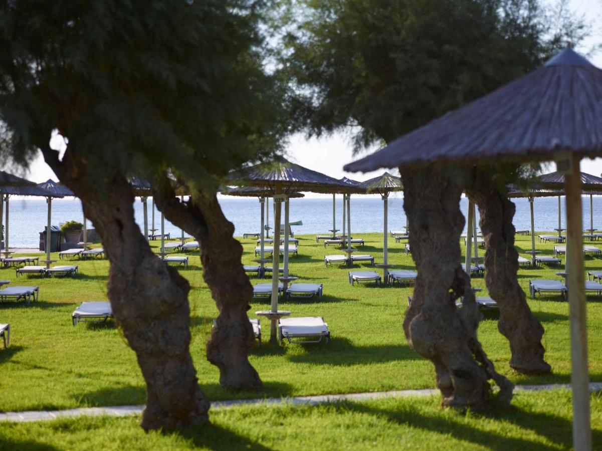 Apollo Beach Faliraki Bagian luar foto